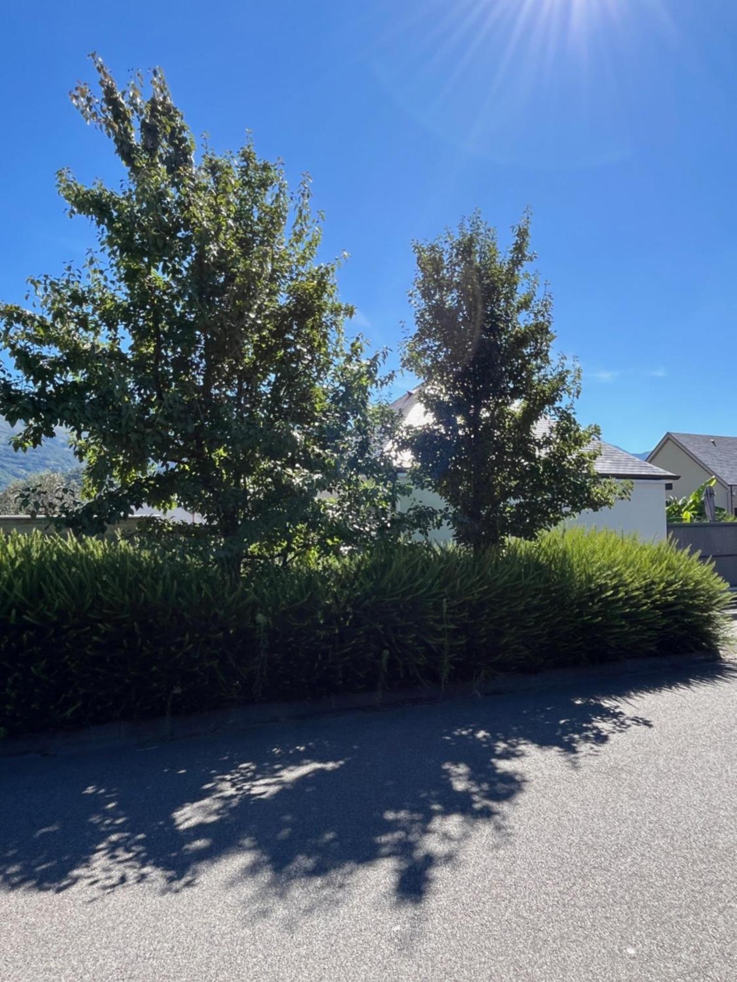 La Maison De Lilette Proche Argeles Gazost Ayzac-Ost Extérieur photo